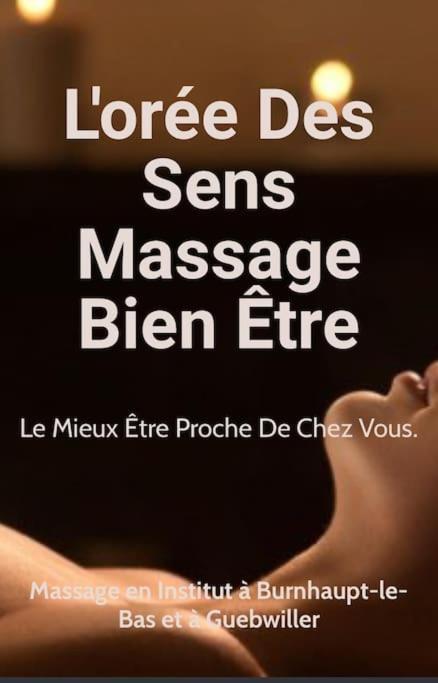 Gite Cosy Pour 2 A 4 Personnes, Village Proche Mulhouse Burnhaupt-le-Bas Zewnętrze zdjęcie