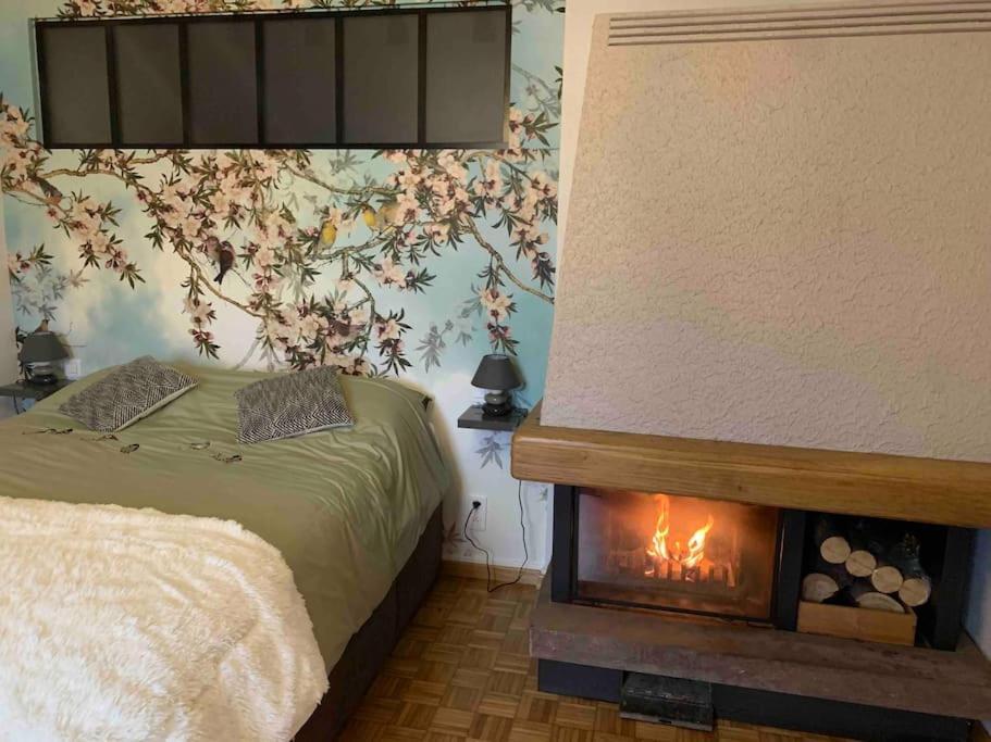 Gite Cosy Pour 2 A 4 Personnes, Village Proche Mulhouse Burnhaupt-le-Bas Zewnętrze zdjęcie