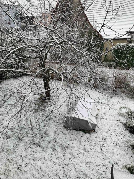 Gite Cosy Pour 2 A 4 Personnes, Village Proche Mulhouse Burnhaupt-le-Bas Zewnętrze zdjęcie